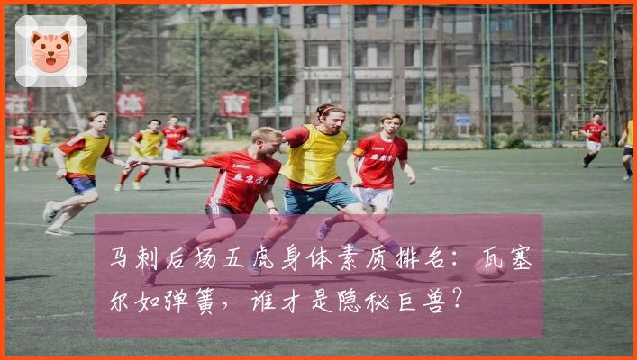 马刺后场五虎身体素质排名：瓦塞尔如弹簧，谁才是隐秘巨兽？